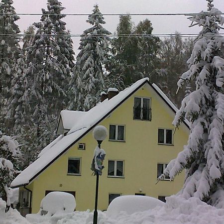 Apartamenty Grapa Szum Rzeki Parking Free Wisła Exterior foto