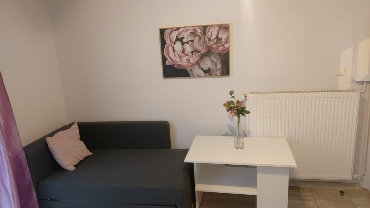 Apartamenty Grapa Szum Rzeki Parking Free Wisła Exterior foto