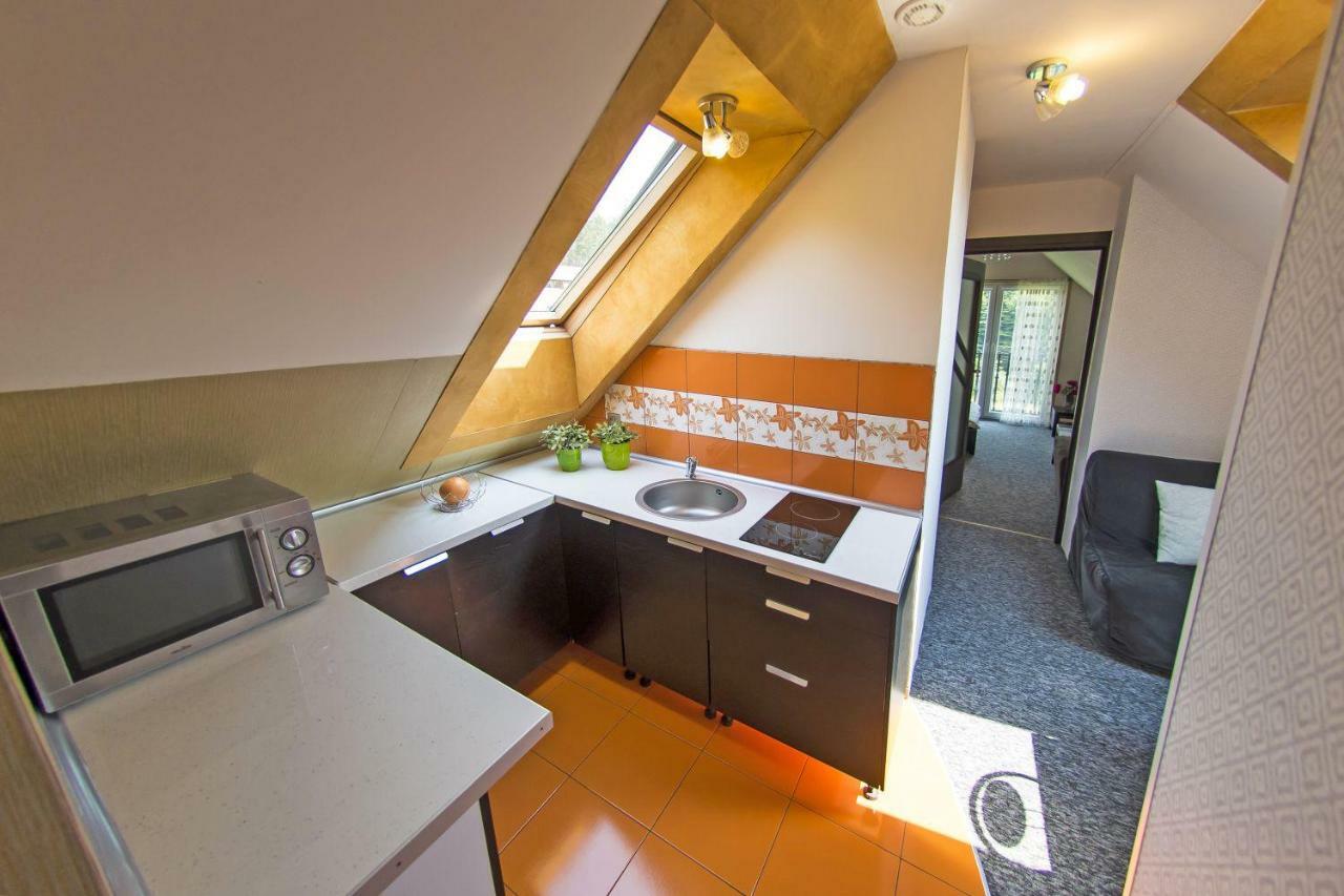 Apartamenty Grapa Szum Rzeki Parking Free Wisła Exterior foto